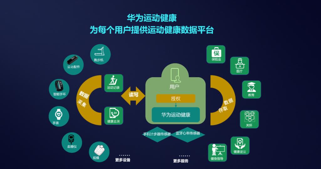 HMS Core 运动健康服务助力开发者快速构建应用——互联网数据服务的革命性突破